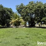 listing image thumbnail with ID 87075