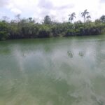listing image thumbnail with ID 83205