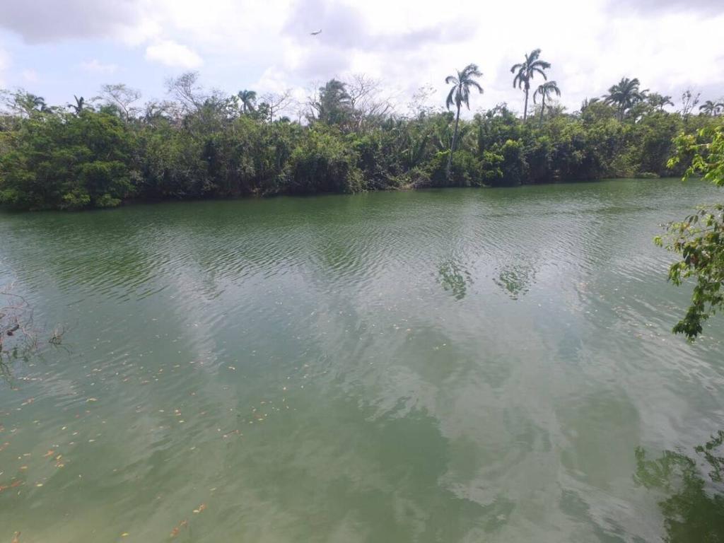listing image with ID 83205