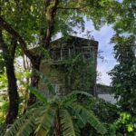 listing image thumbnail with ID 77057
