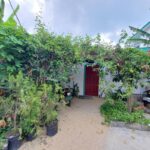 listing image thumbnail with ID 95044