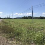 listing image thumbnail with ID 102123