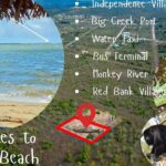 listing image thumbnail with ID 80419
