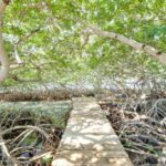 listing image thumbnail with ID 91884