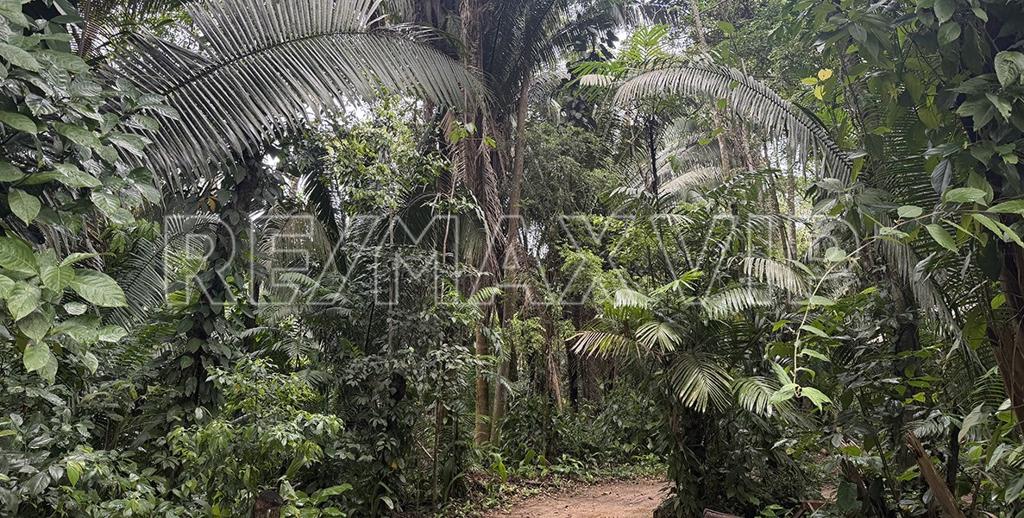 listing image with ID 109093