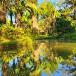 listing image thumbnail with ID 105385