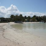listing image thumbnail with ID 98635