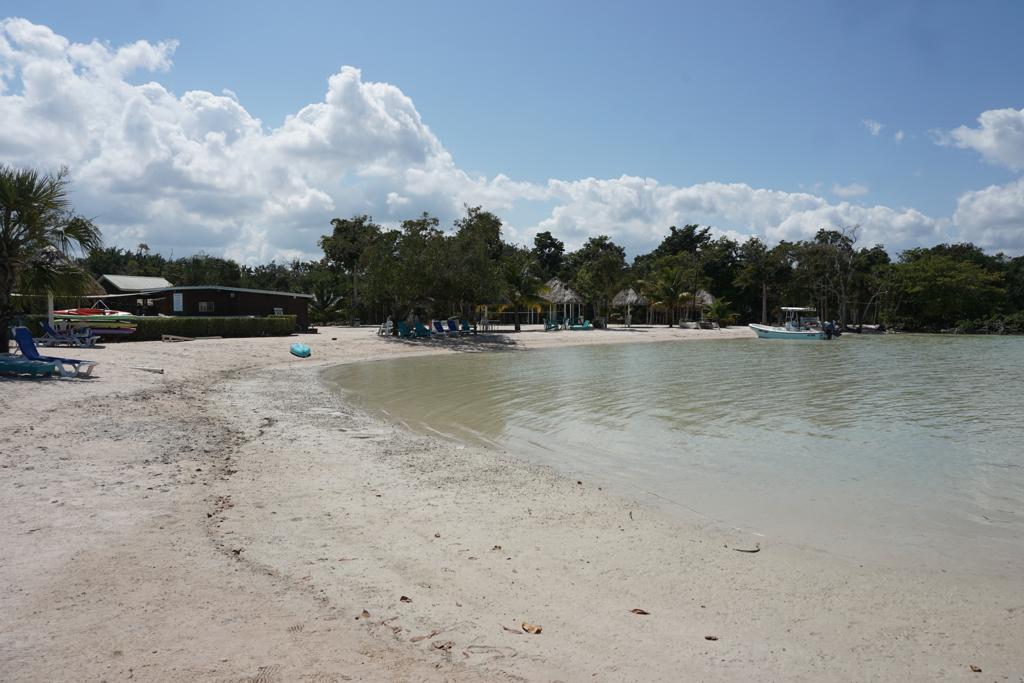 listing image with ID 98635