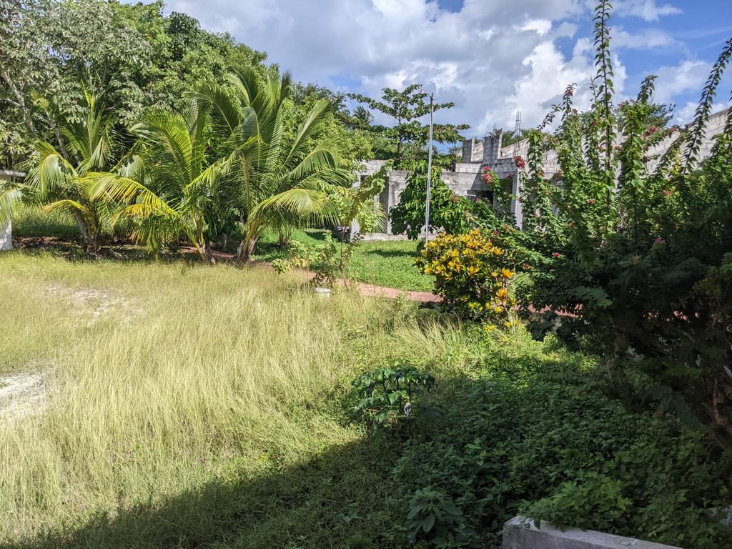listing image with ID 75865