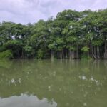 listing image thumbnail with ID 81046
