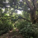 listing image thumbnail with ID 83484