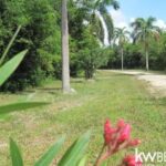 listing image thumbnail with ID 75675
