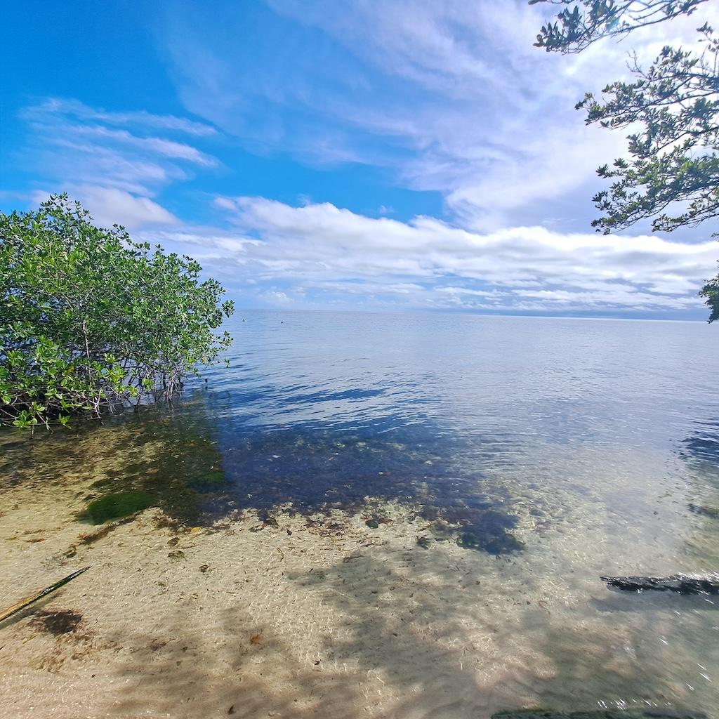 listing image with ID 100755