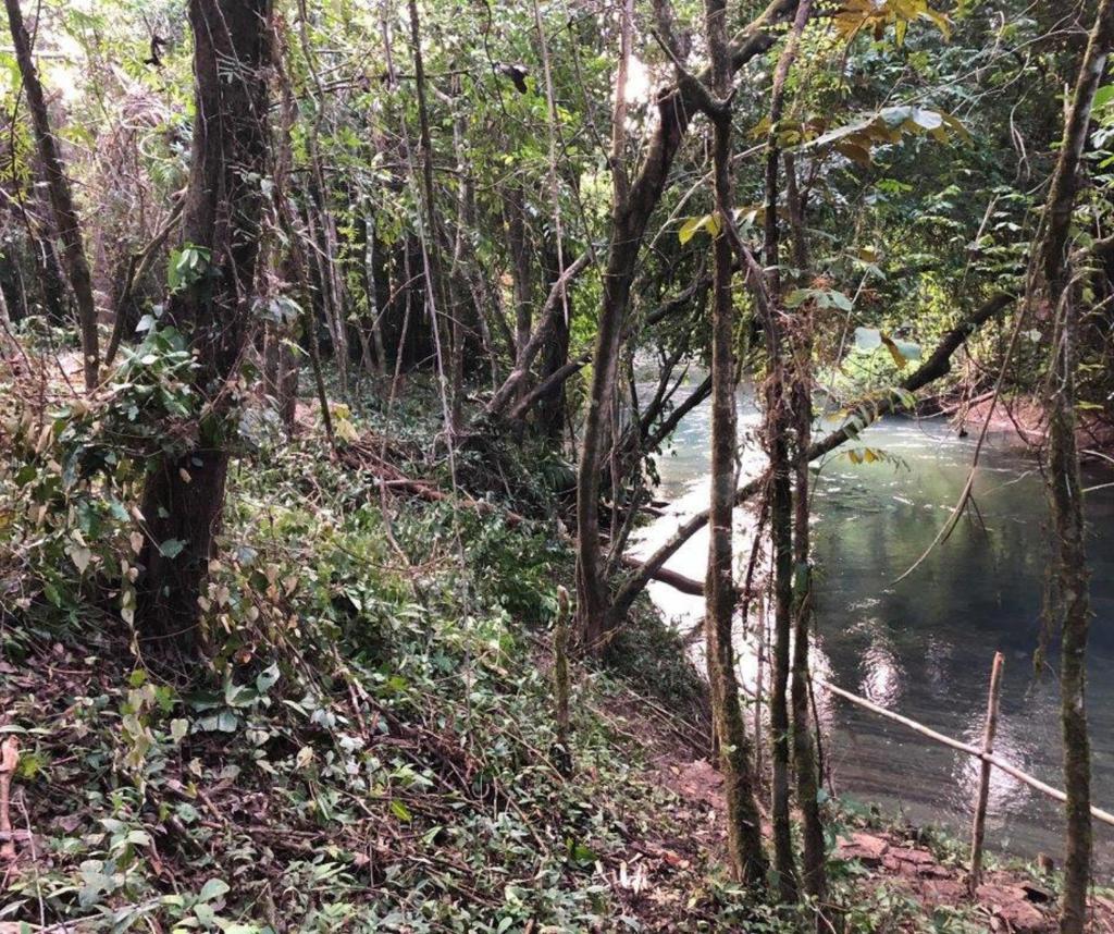 listing image with ID 102143