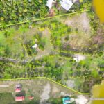 listing image thumbnail with ID 75446
