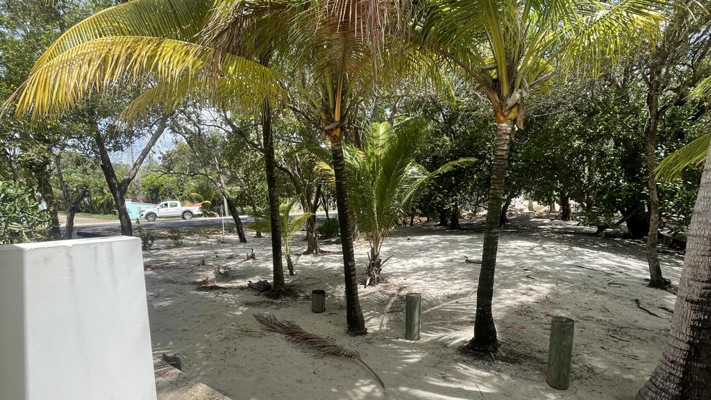 listing image with ID 79237