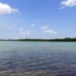 listing image thumbnail with ID 109146