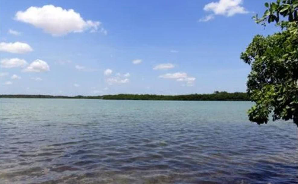listing image with ID 109146