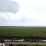 listing image thumbnail with ID 102295