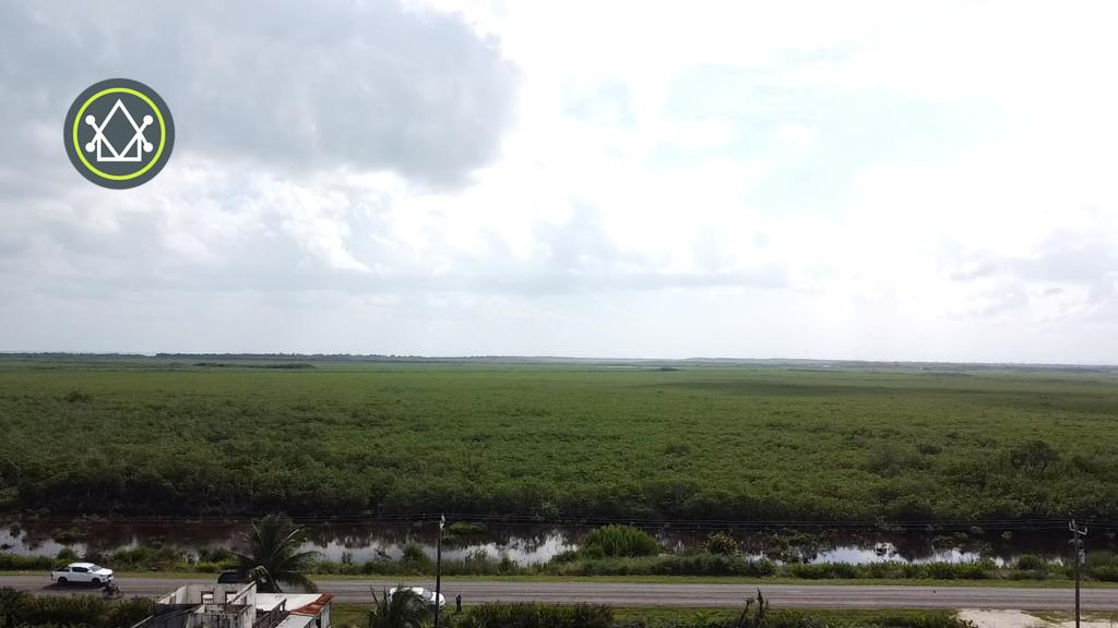 listing image with ID 102295