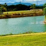 listing image thumbnail with ID 82074