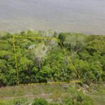 listing image thumbnail with ID 97955
