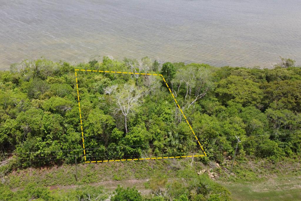 listing image with ID 97955