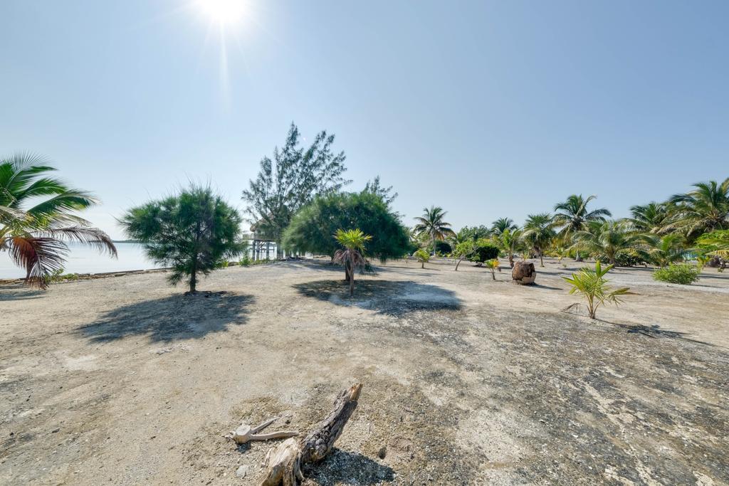 listing image with ID 91879
