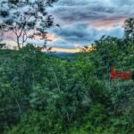 listing image thumbnail with ID 83472