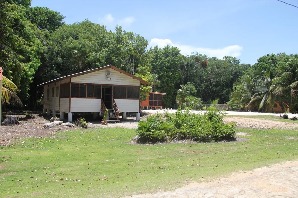 listing image with ID 107481