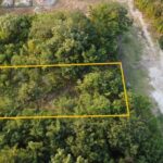 listing image thumbnail with ID 95291