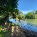 listing image thumbnail with ID 93998