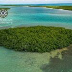 listing image thumbnail with ID 106204