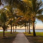 listing image thumbnail with ID 79245