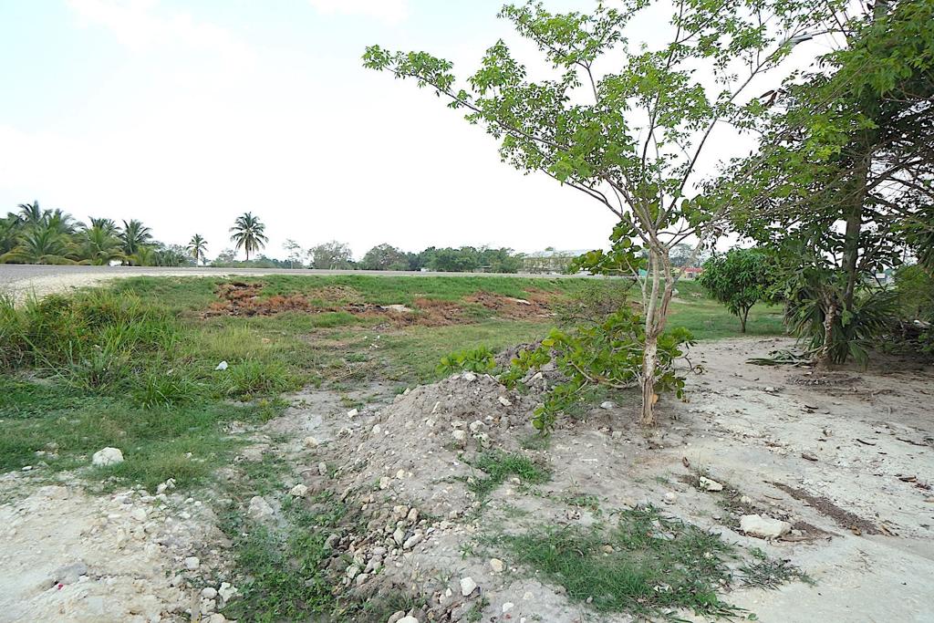 listing image with ID 107576