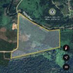 listing image thumbnail with ID 85439