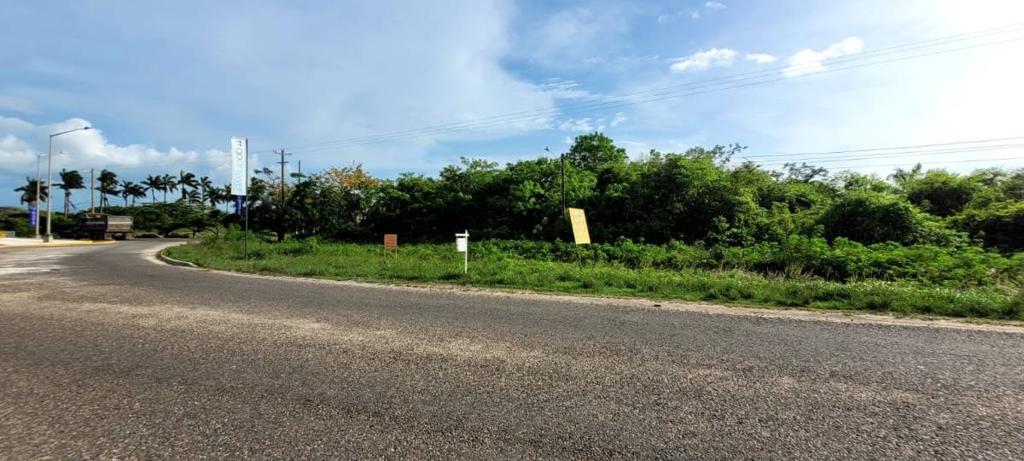 listing image with ID 85958
