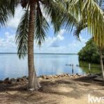 listing image thumbnail with ID 107043