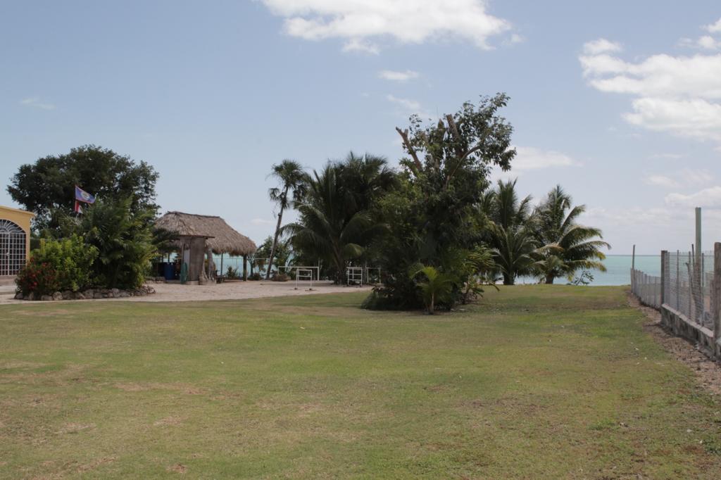 listing image with ID 86403
