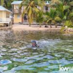 listing image thumbnail with ID 93526