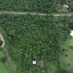 listing image thumbnail with ID 100636