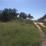 listing image thumbnail with ID 81949