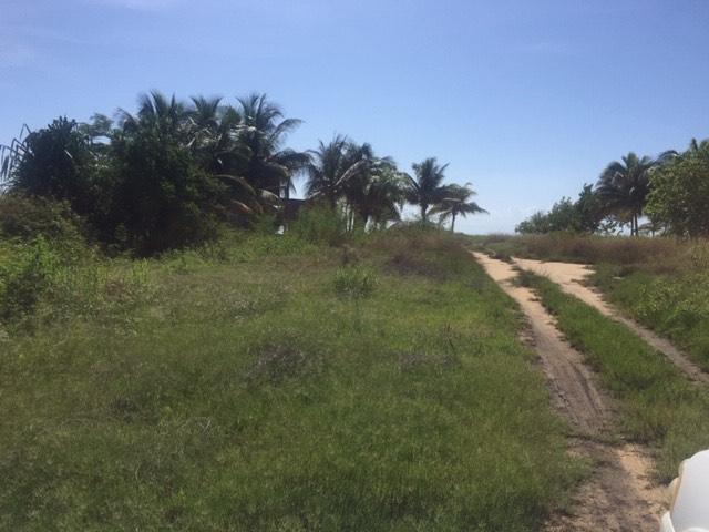 listing image with ID 81949