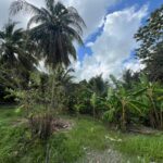 listing image thumbnail with ID 98548