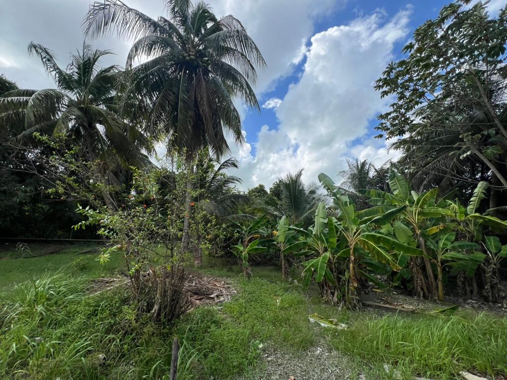 listing image with ID 98548