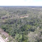 listing image thumbnail with ID 78133