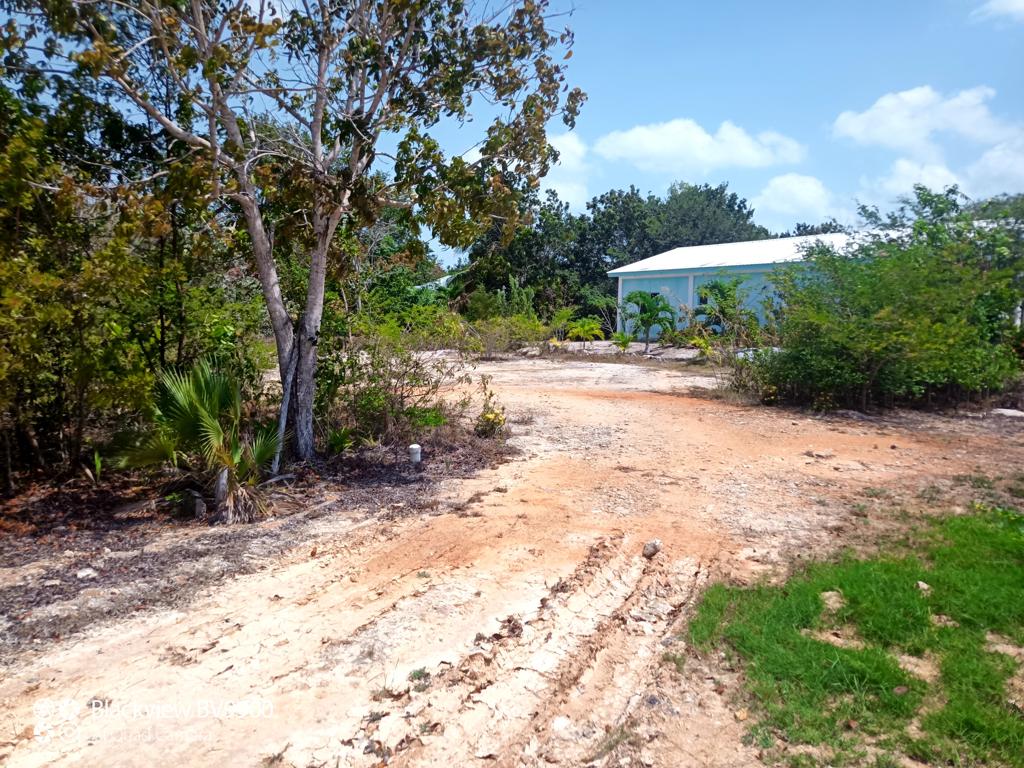listing image with ID 98623