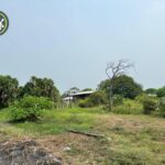 listing image thumbnail with ID 102324