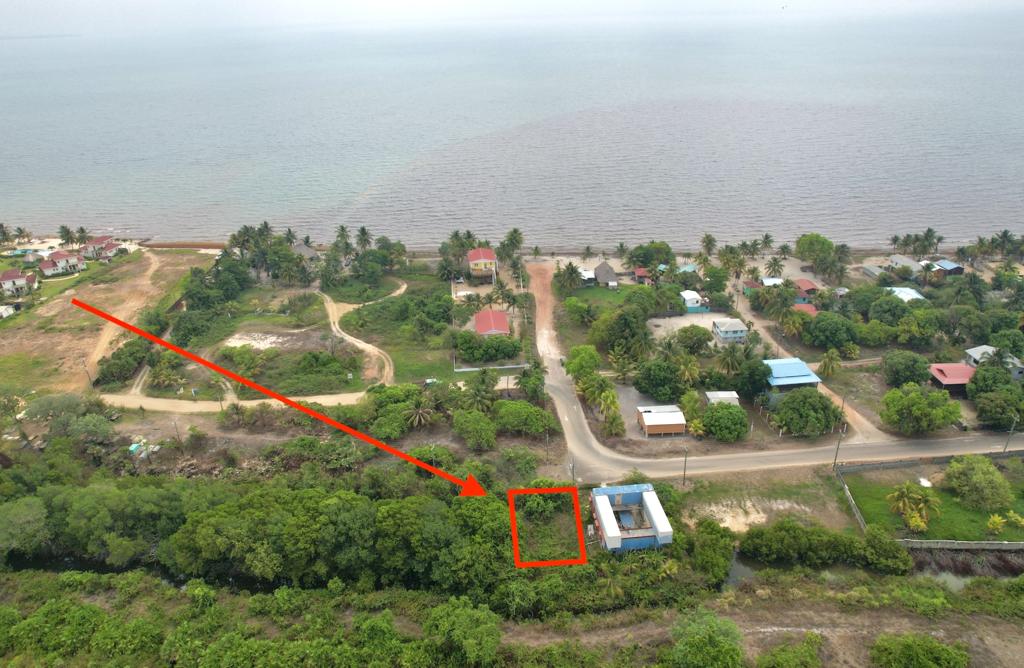 listing image with ID 77990
