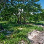 listing image thumbnail with ID 93569